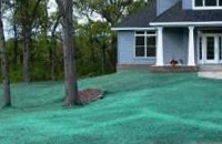 greenmulch